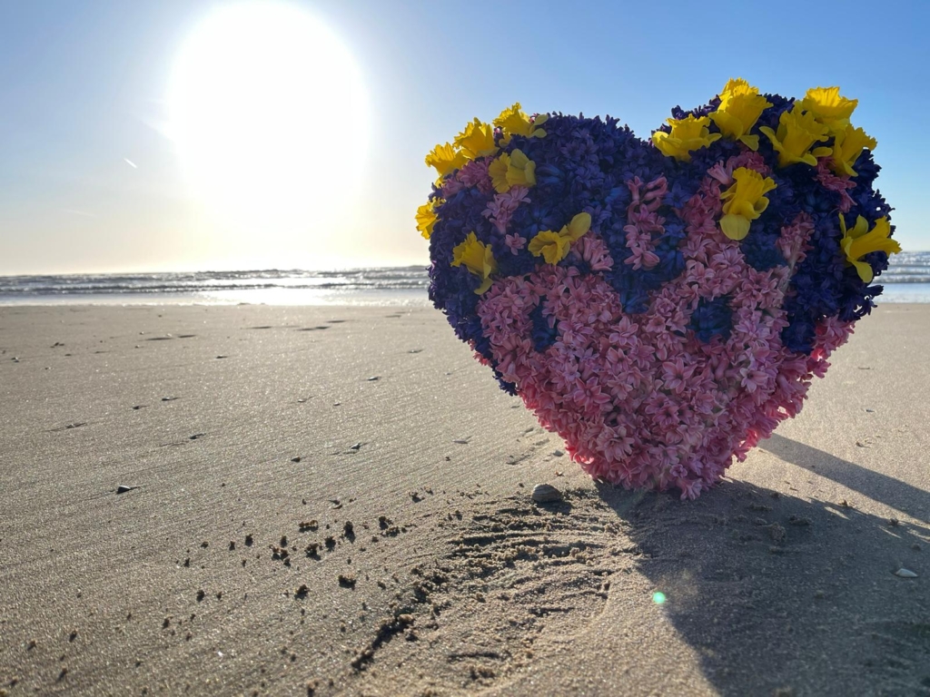 Hartverwarmende tulpenactie